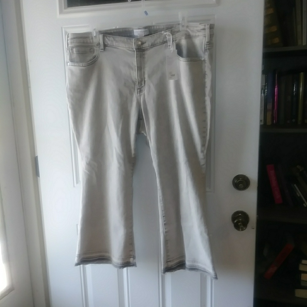 Lane Bryant Boyfriend jeans . Size 22